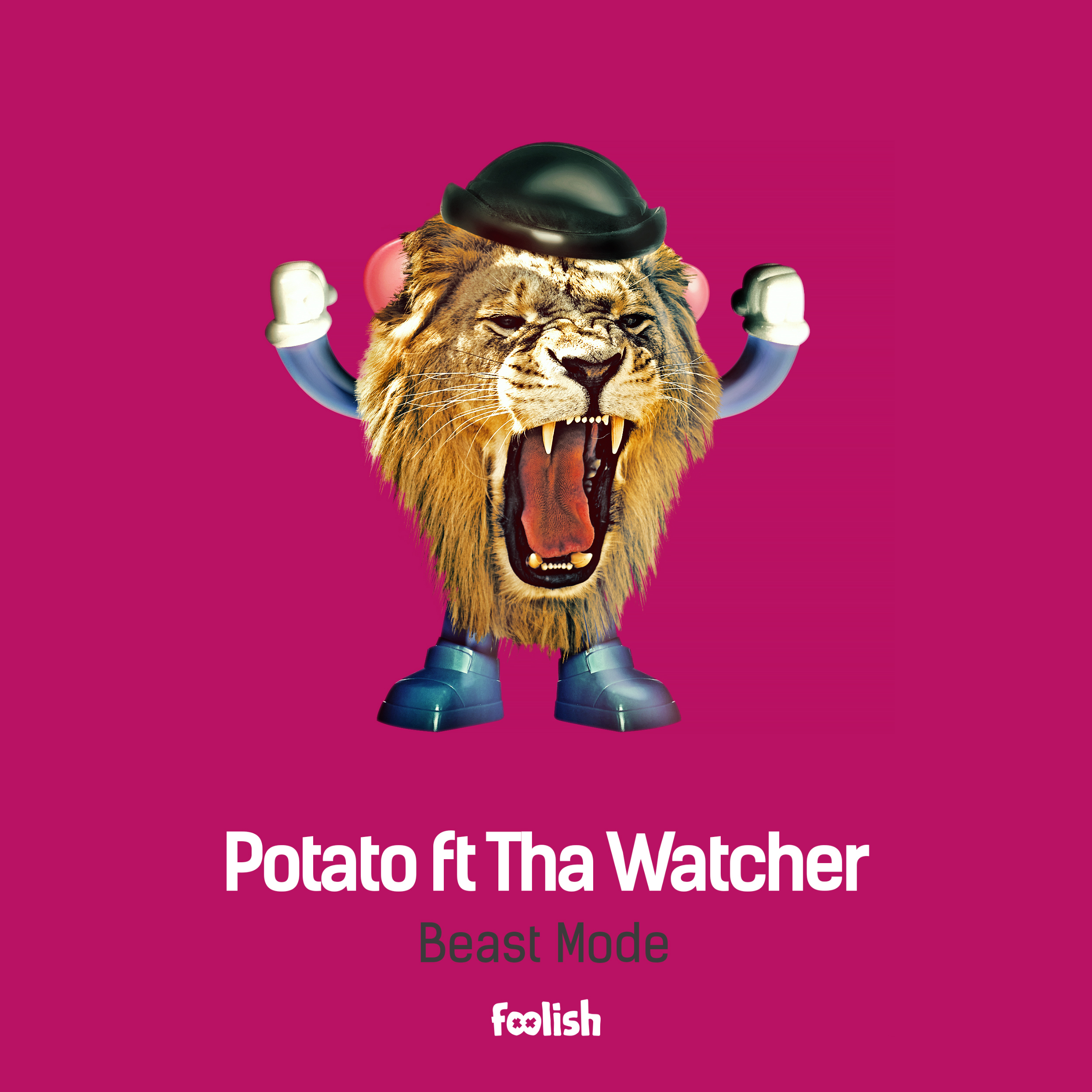 Potato (FLSM032)