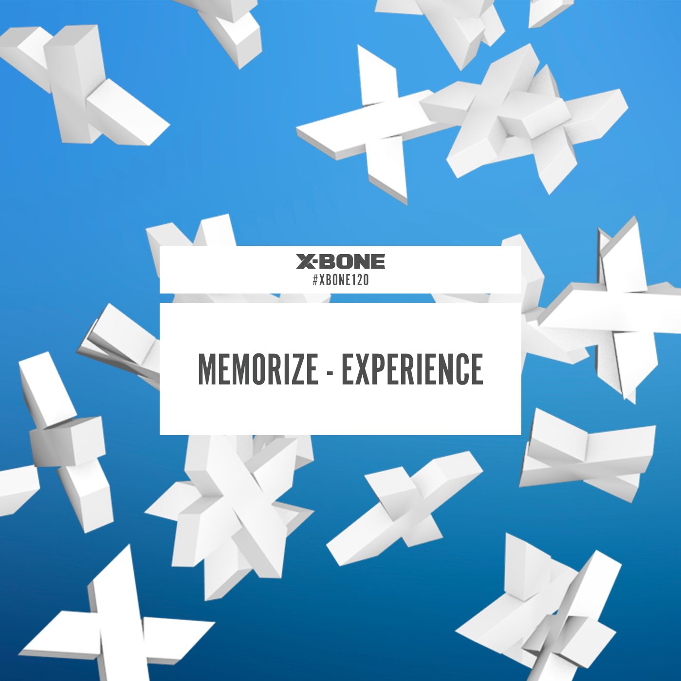 Memorize (XBONE120)