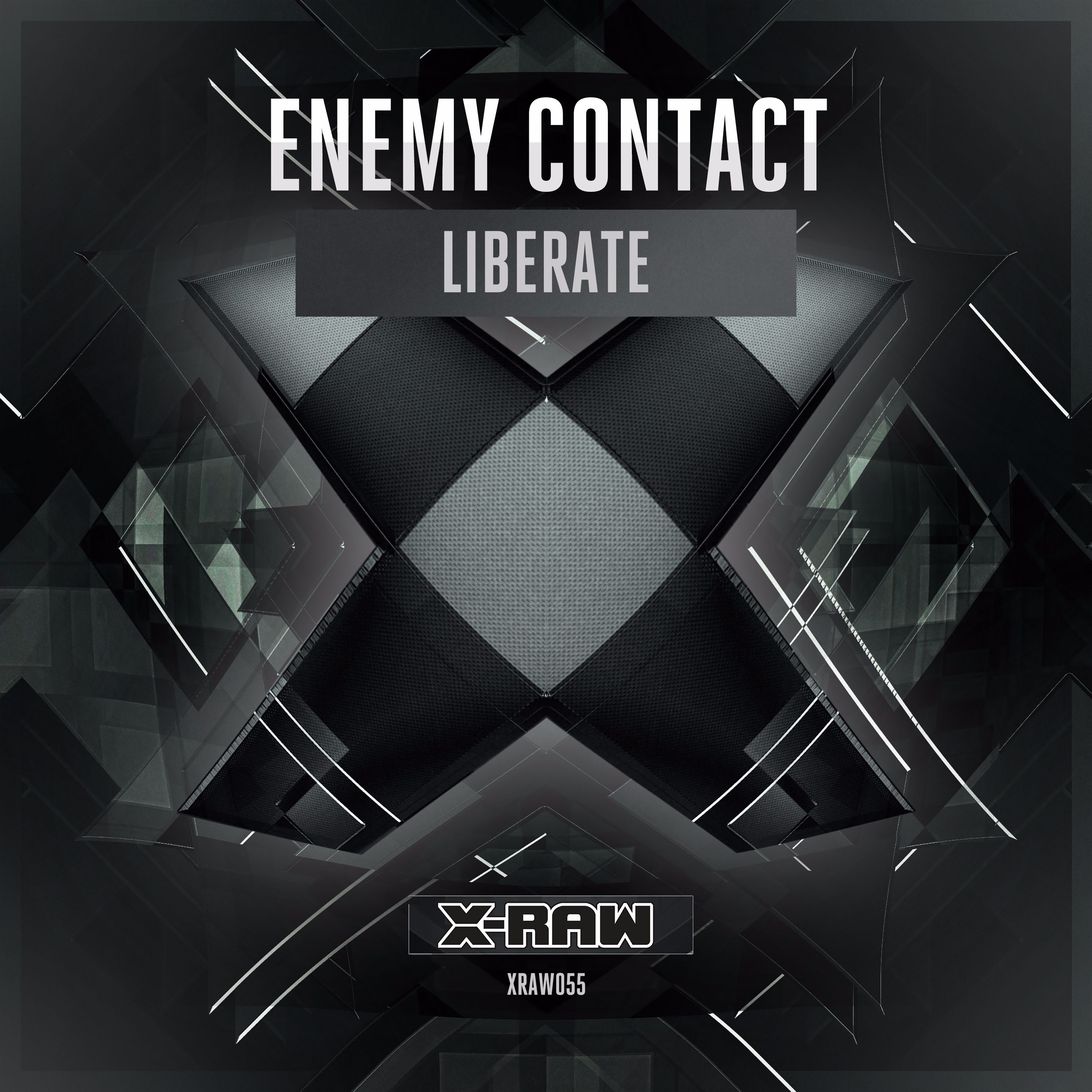 Enemy Contact (XRAW055)