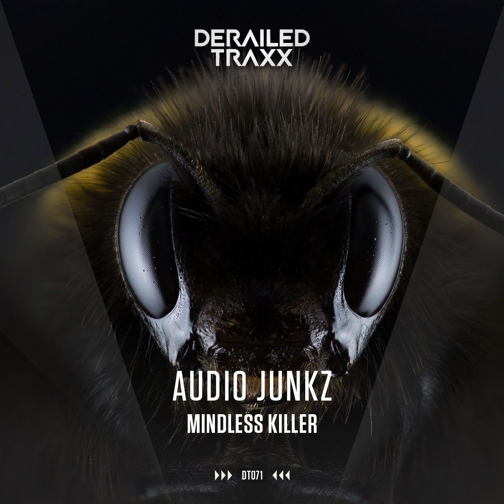 Audio Junkz (DT071)