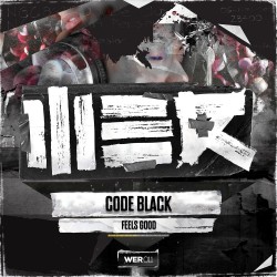 WER011