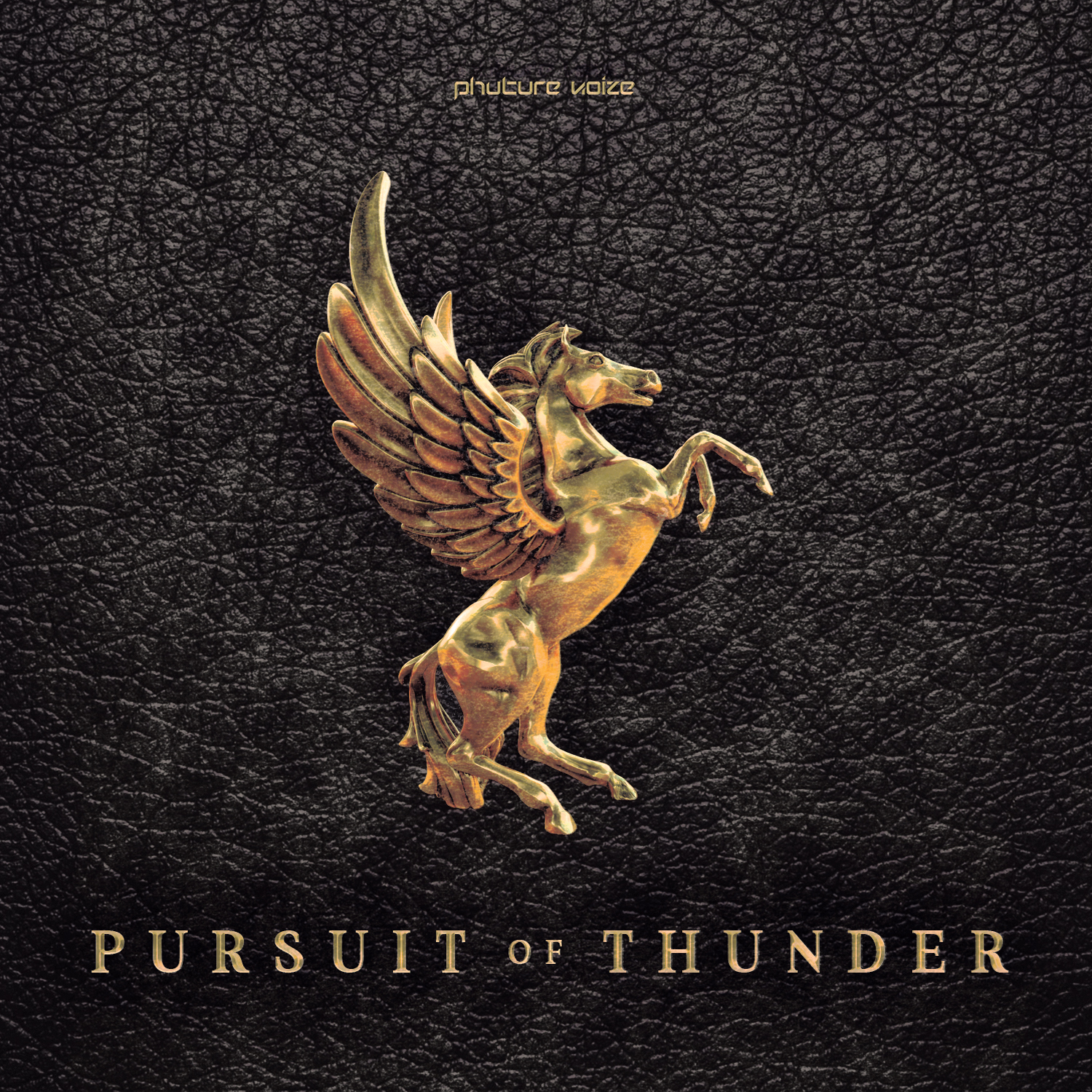 Phuture Noize - Pursuit of Thunder