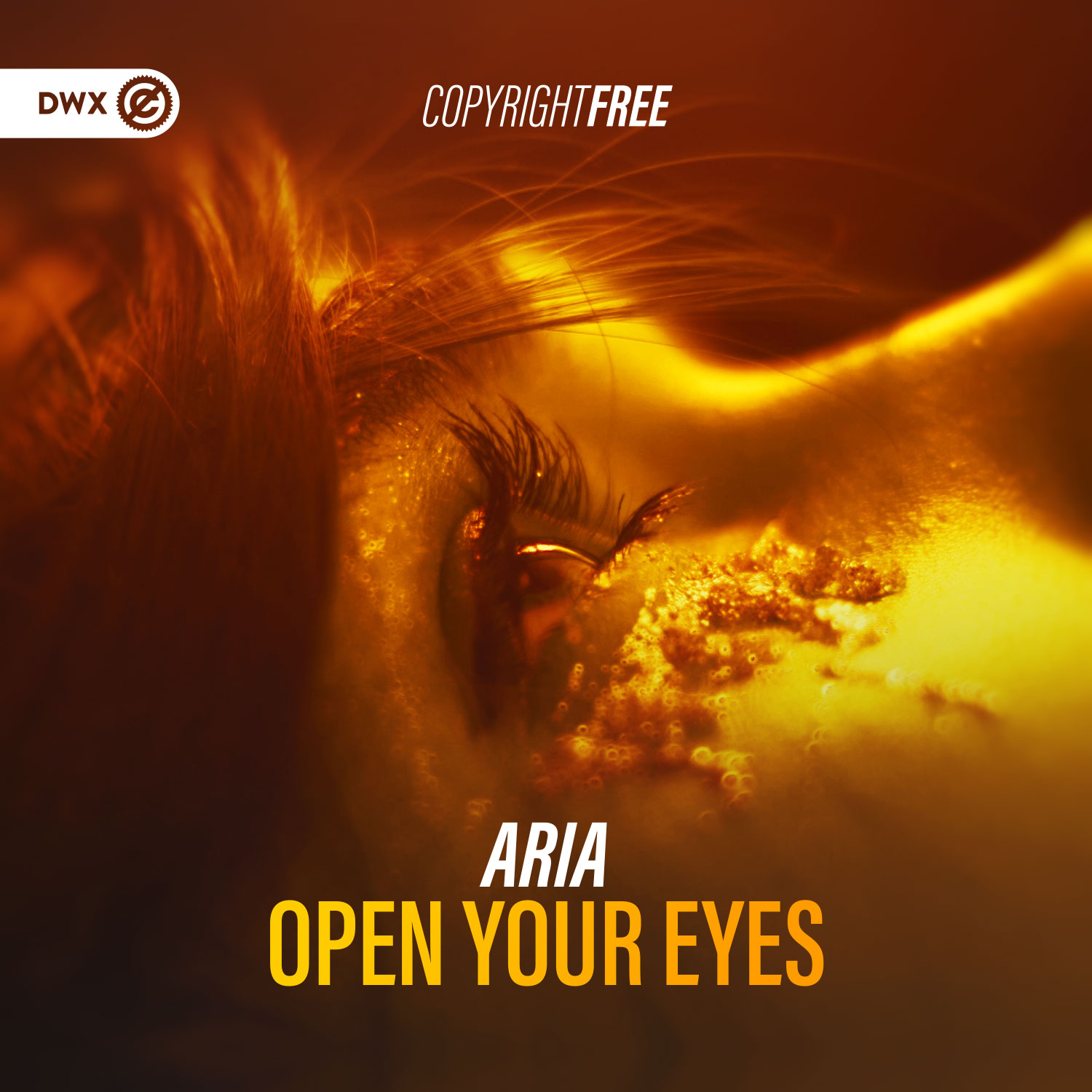 Aria (DWX810)