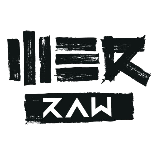 WE R Raw - Logo